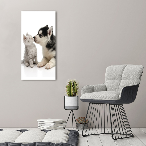 Acrylic glass print Dog and cat