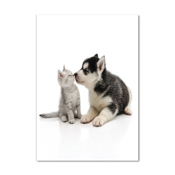 Acrylic glass print Dog and cat