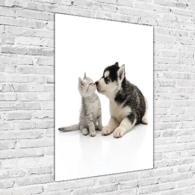 Acrylic glass print Dog and cat