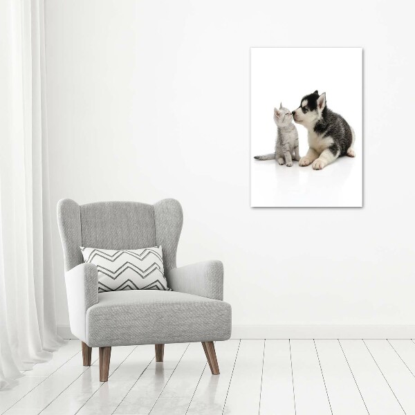 Acrylic glass print Dog and cat