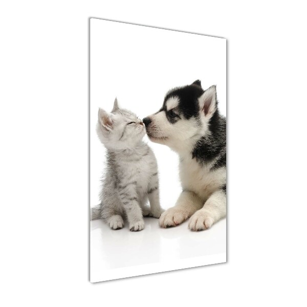 Acrylic glass print Dog and cat