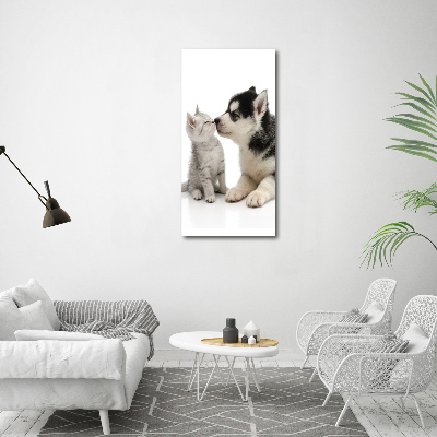 Acrylic glass print Dog and cat