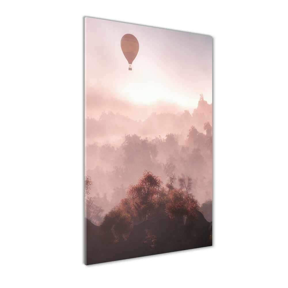 Wall art acrylic Flying forest balloon