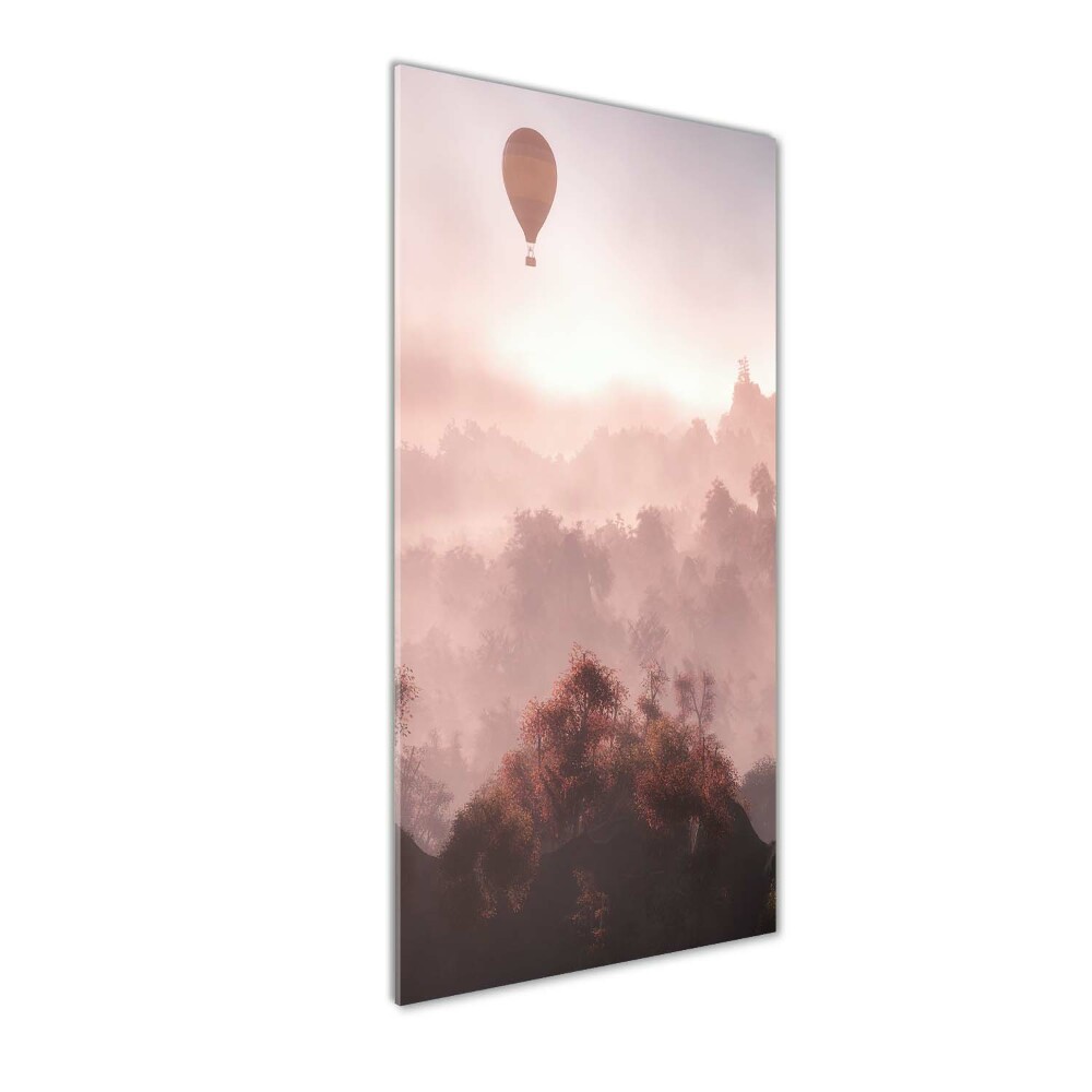 Wall art acrylic Flying forest balloon