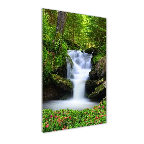 Waterfall in the forest