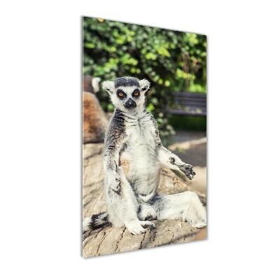 Print on acrylic Lemur