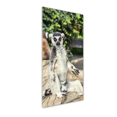 Print on acrylic Lemur