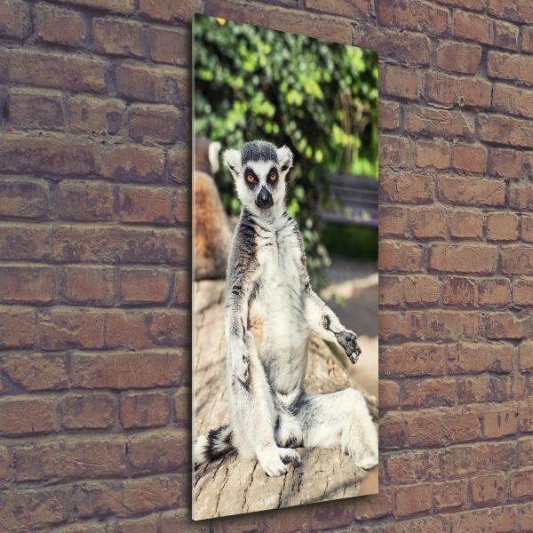 Print on acrylic Lemur