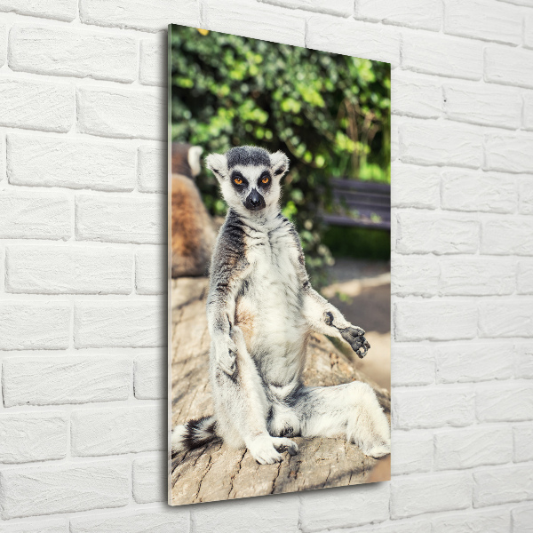 Print on acrylic Lemur