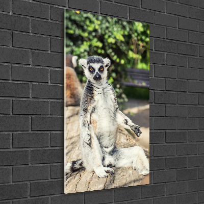 Print on acrylic Lemur