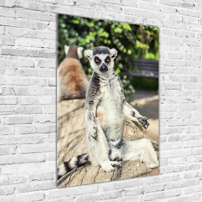 Print on acrylic Lemur