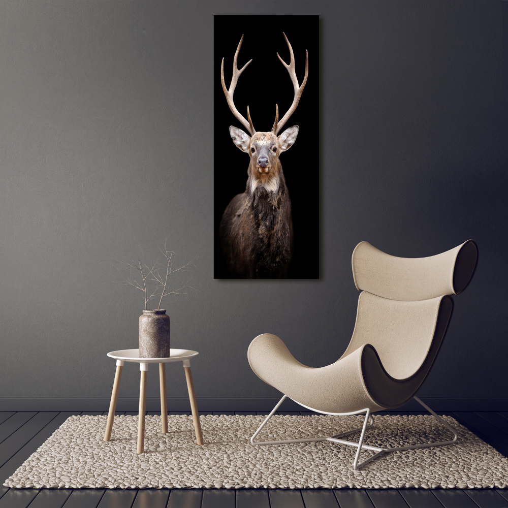 Print on acrylic Deer