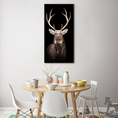 Print on acrylic Deer