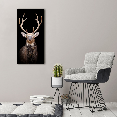 Print on acrylic Deer