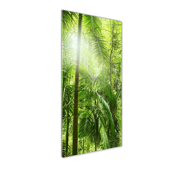 Acrylic wall art the rainforest