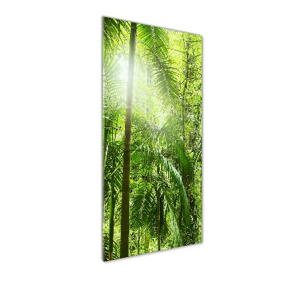 Acrylic wall art the rainforest