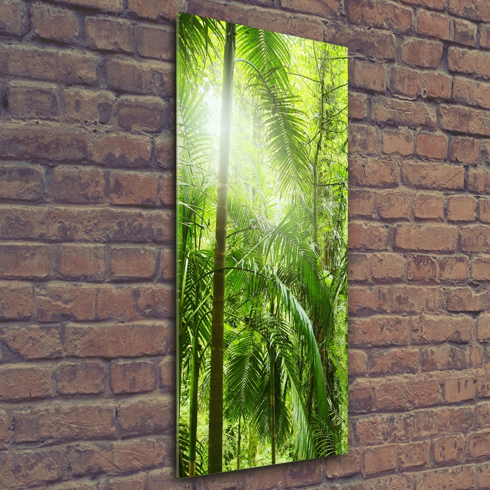 Acrylic wall art the rainforest