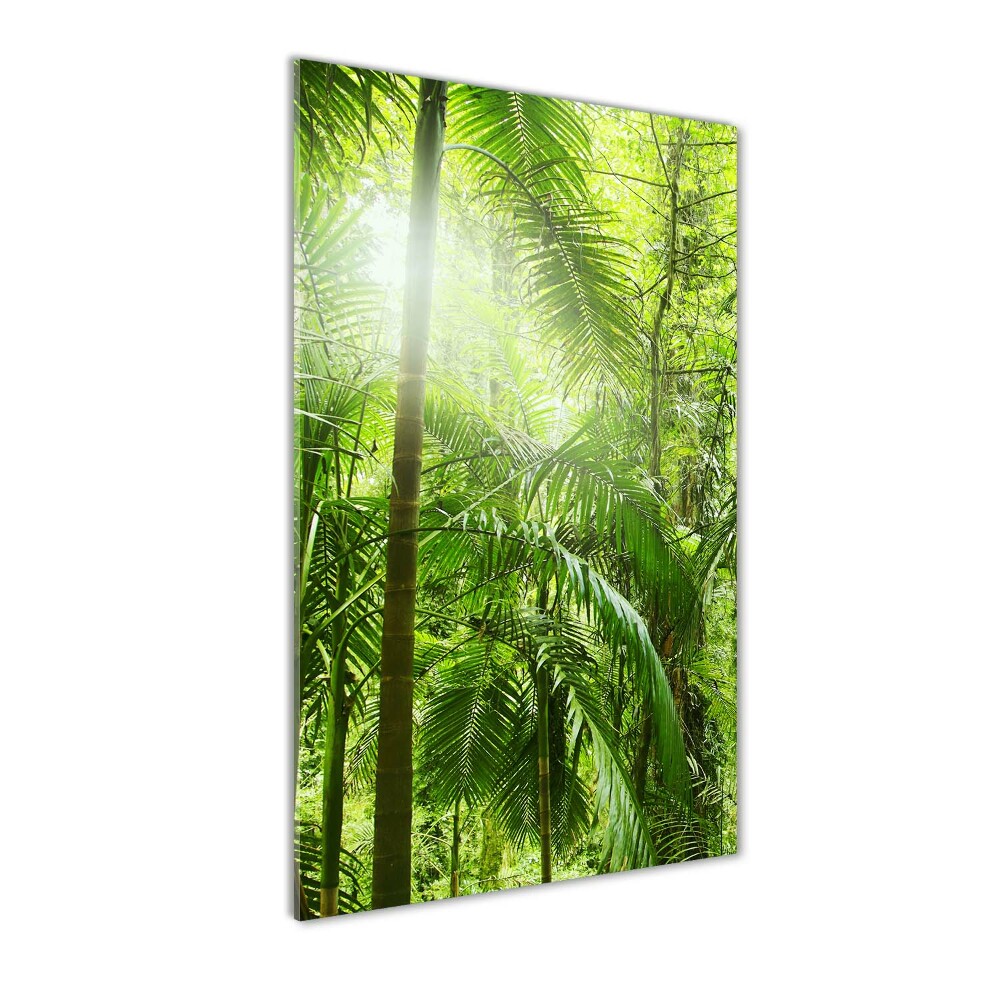 Acrylic wall art the rainforest