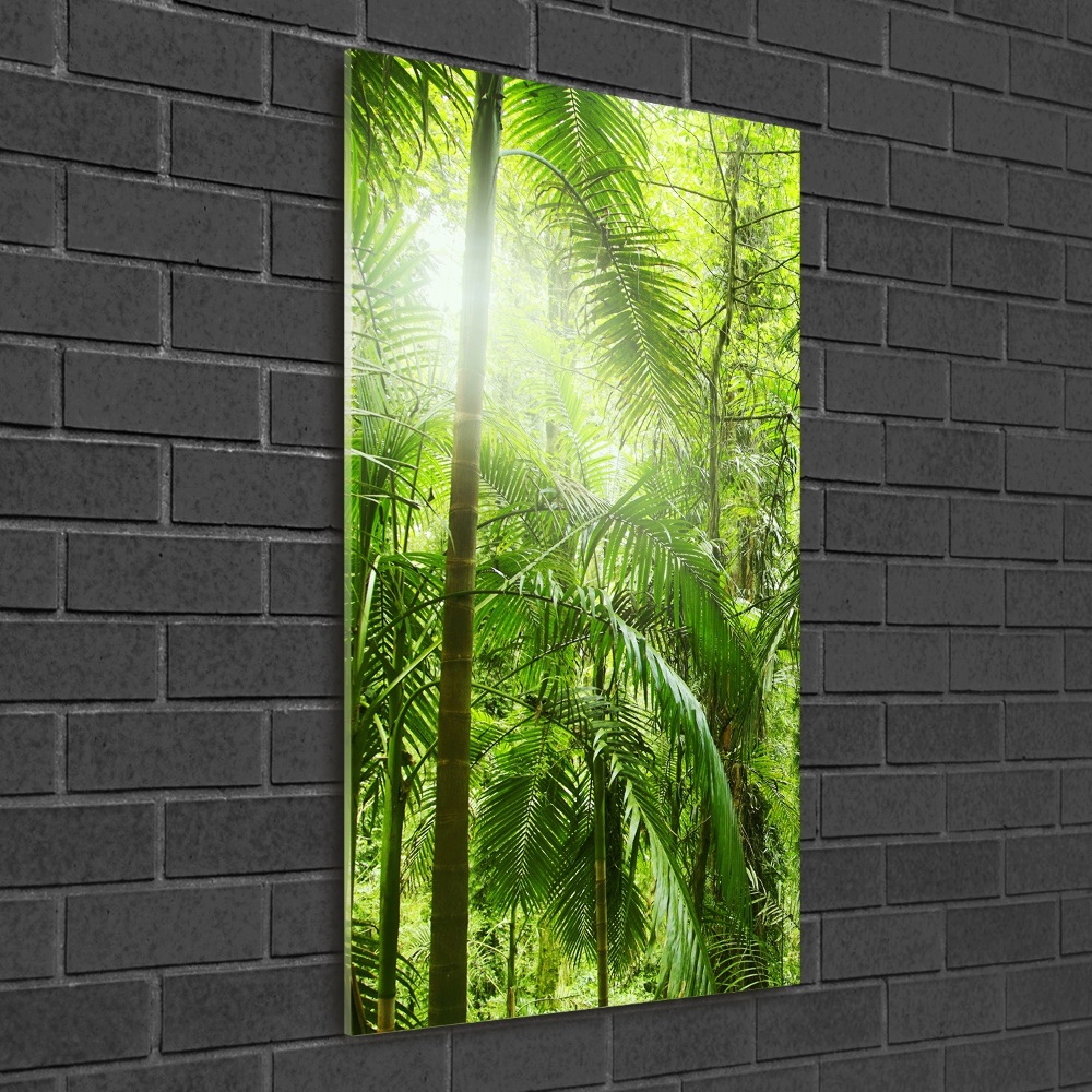 Acrylic wall art the rainforest