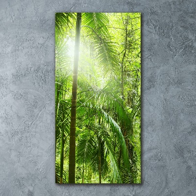 Acrylic wall art the rainforest