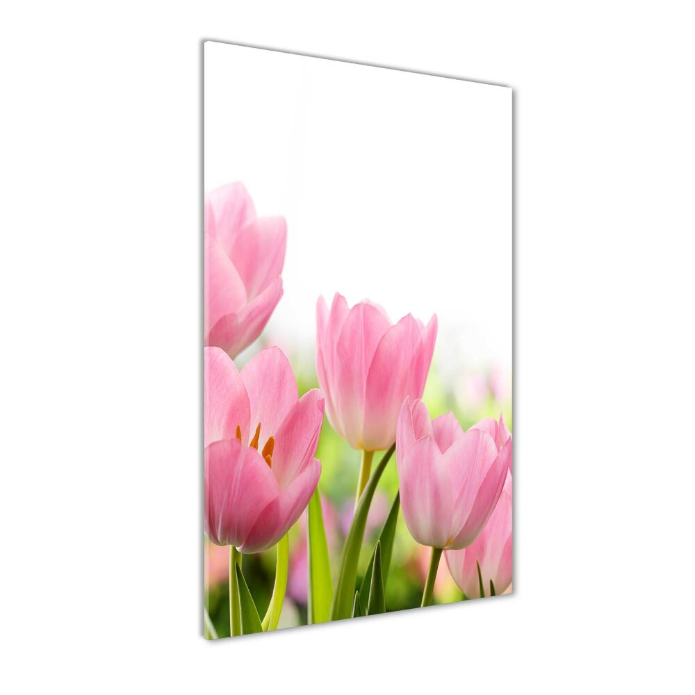 Print on acrylic Pink tulips