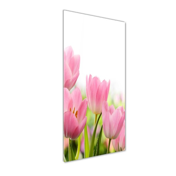 Print on acrylic Pink tulips