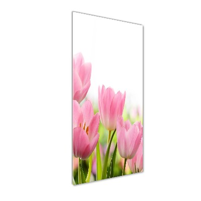 Print on acrylic Pink tulips