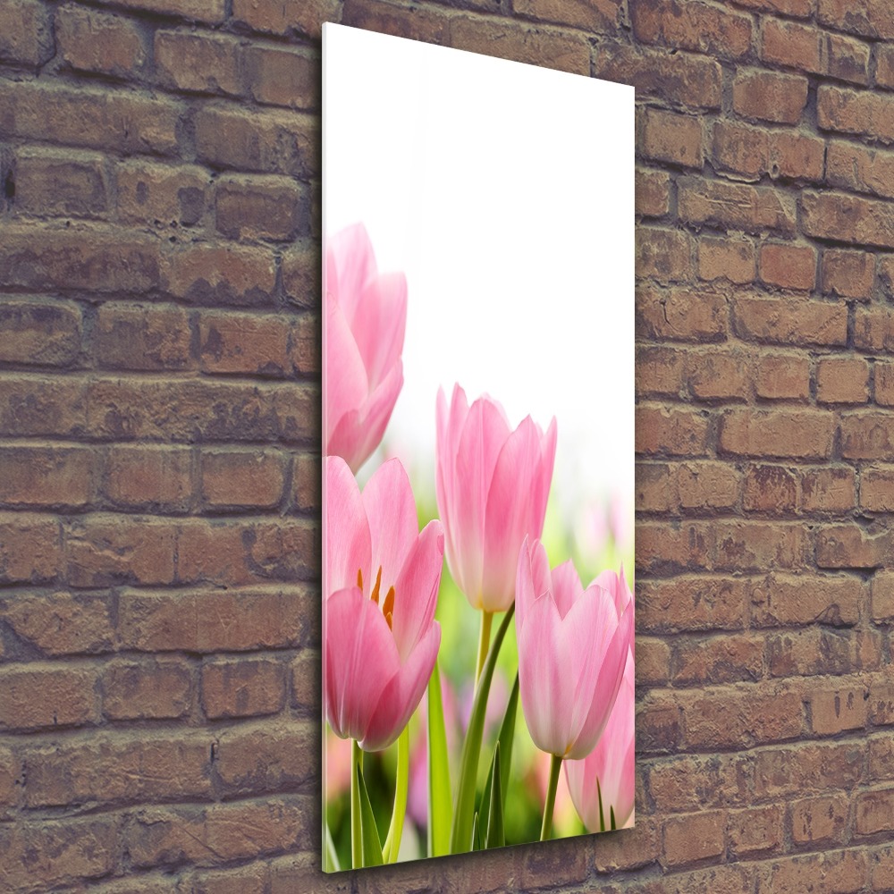 Print on acrylic Pink tulips