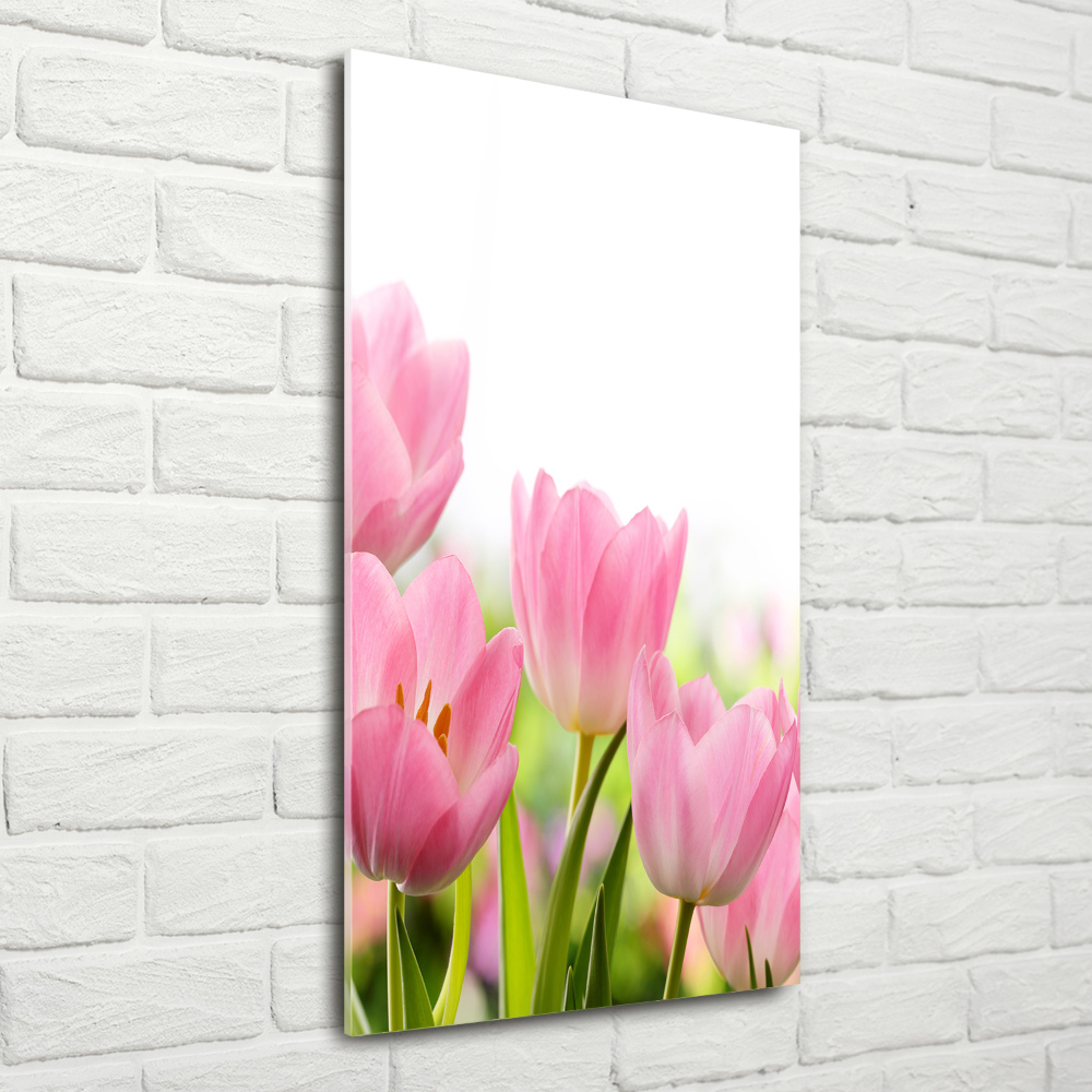 Print on acrylic Pink tulips