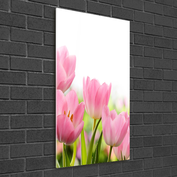 Print on acrylic Pink tulips