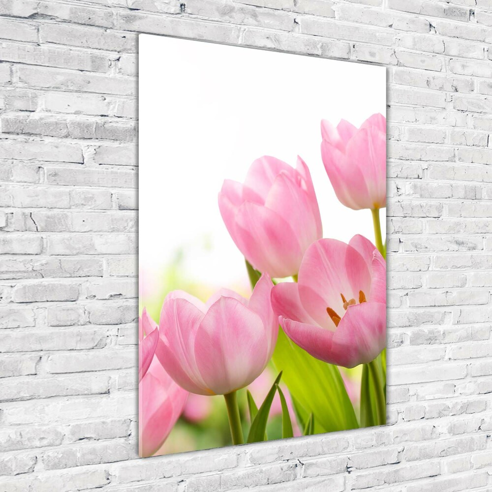 Print on acrylic Pink tulips