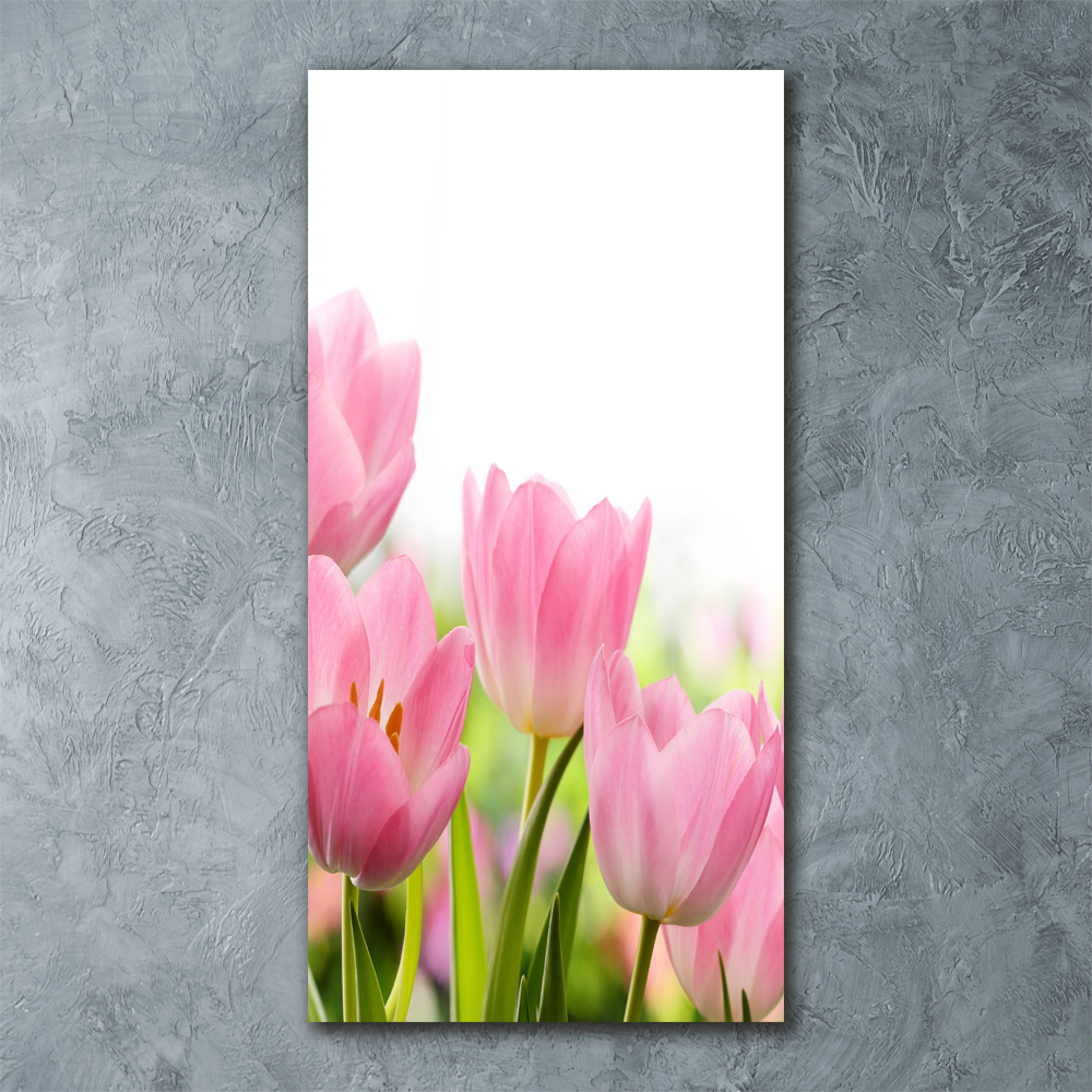 Print on acrylic Pink tulips