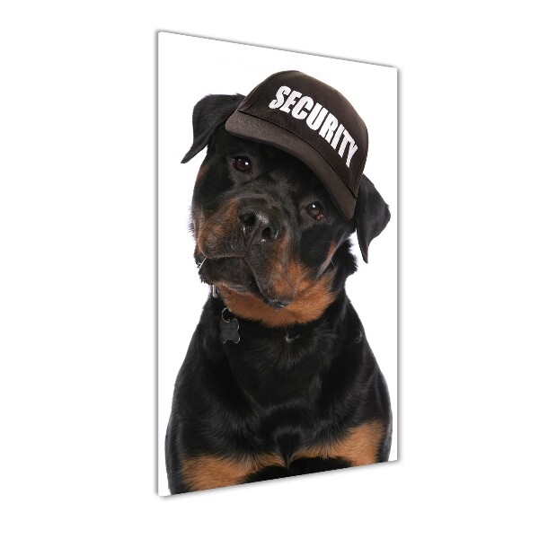 Print on acrylic Rottweiler in the hat