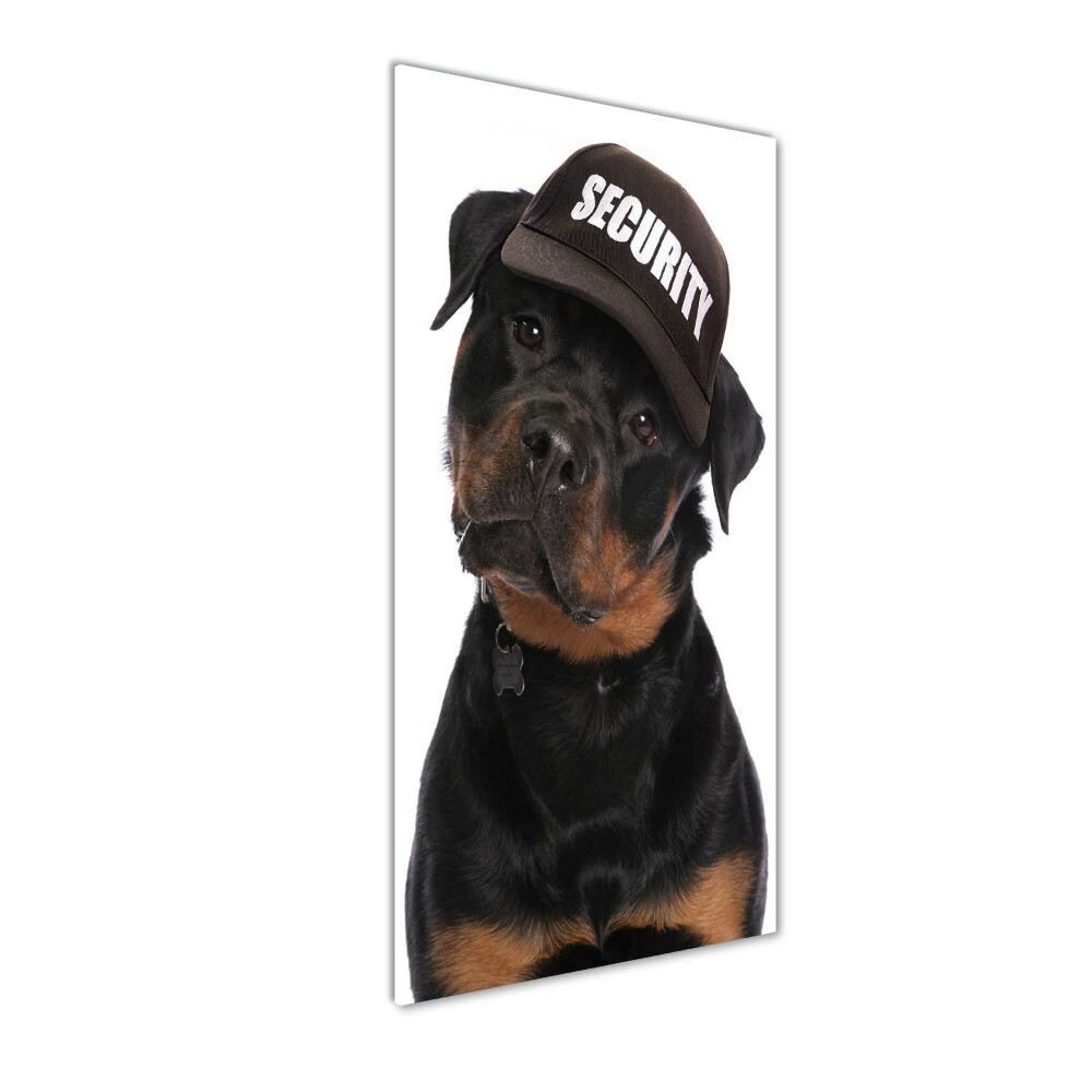 Print on acrylic Rottweiler in the hat