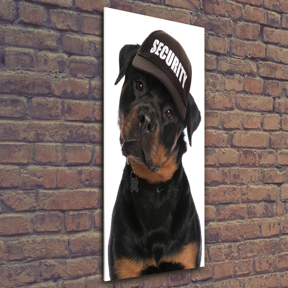 Print on acrylic Rottweiler in the hat