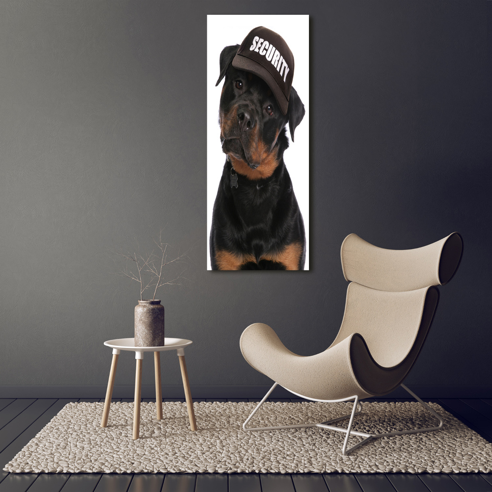 Print on acrylic Rottweiler in the hat