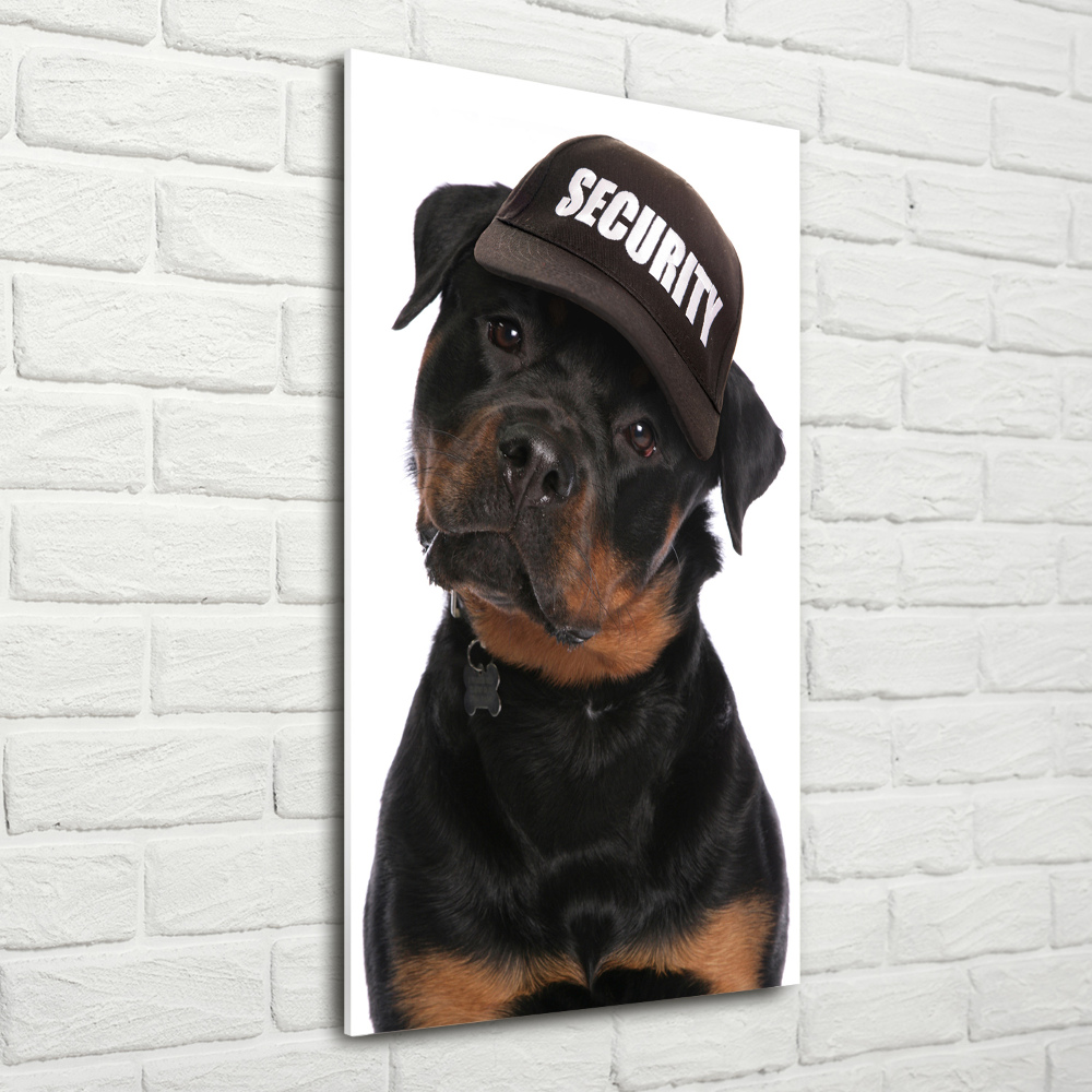 Print on acrylic Rottweiler in the hat