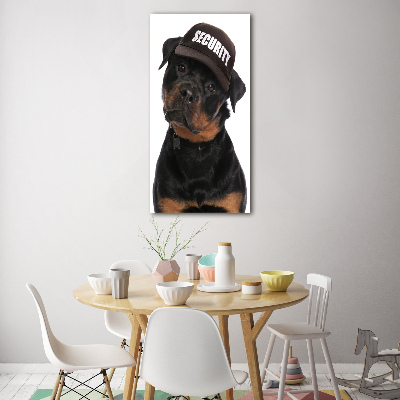 Print on acrylic Rottweiler in the hat