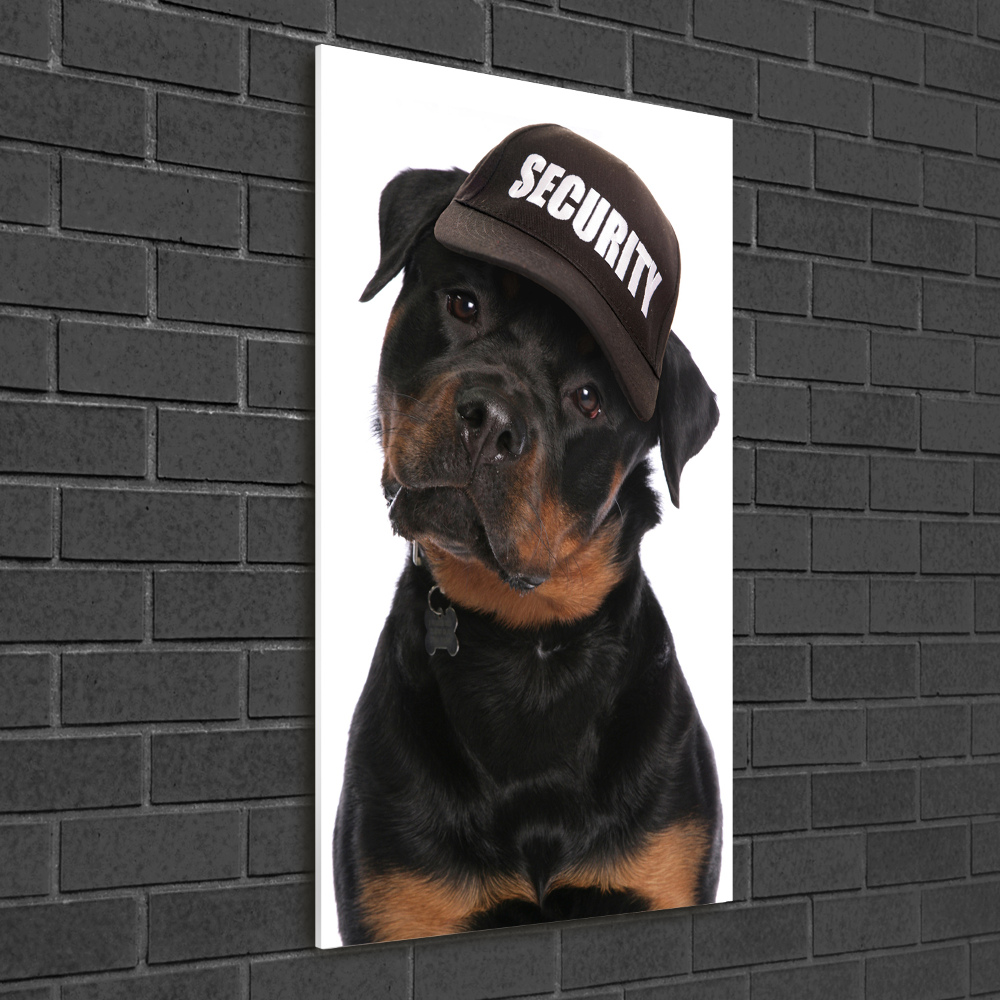 Print on acrylic Rottweiler in the hat