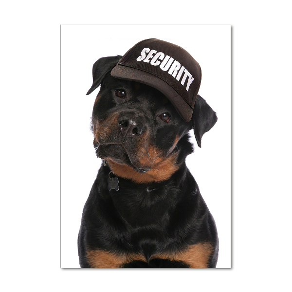 Print on acrylic Rottweiler in the hat