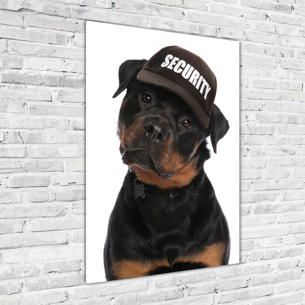 Print on acrylic Rottweiler in the hat