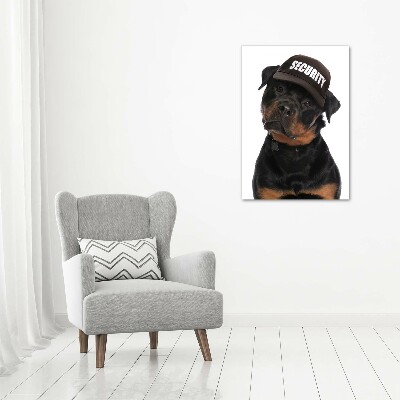 Print on acrylic Rottweiler in the hat