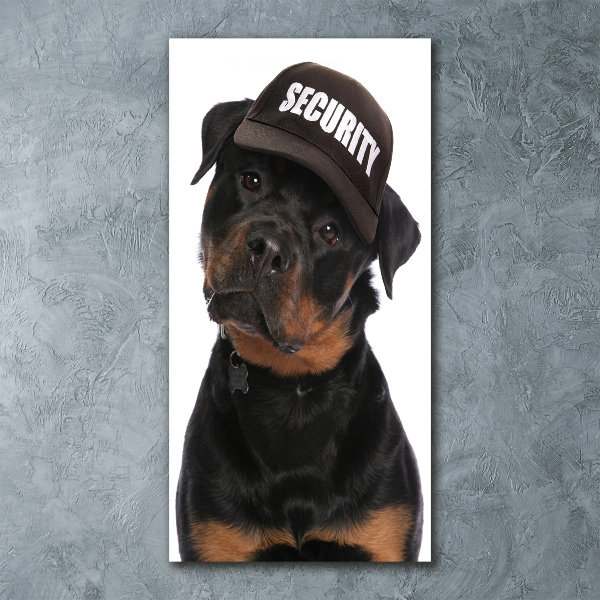 Print on acrylic Rottweiler in the hat