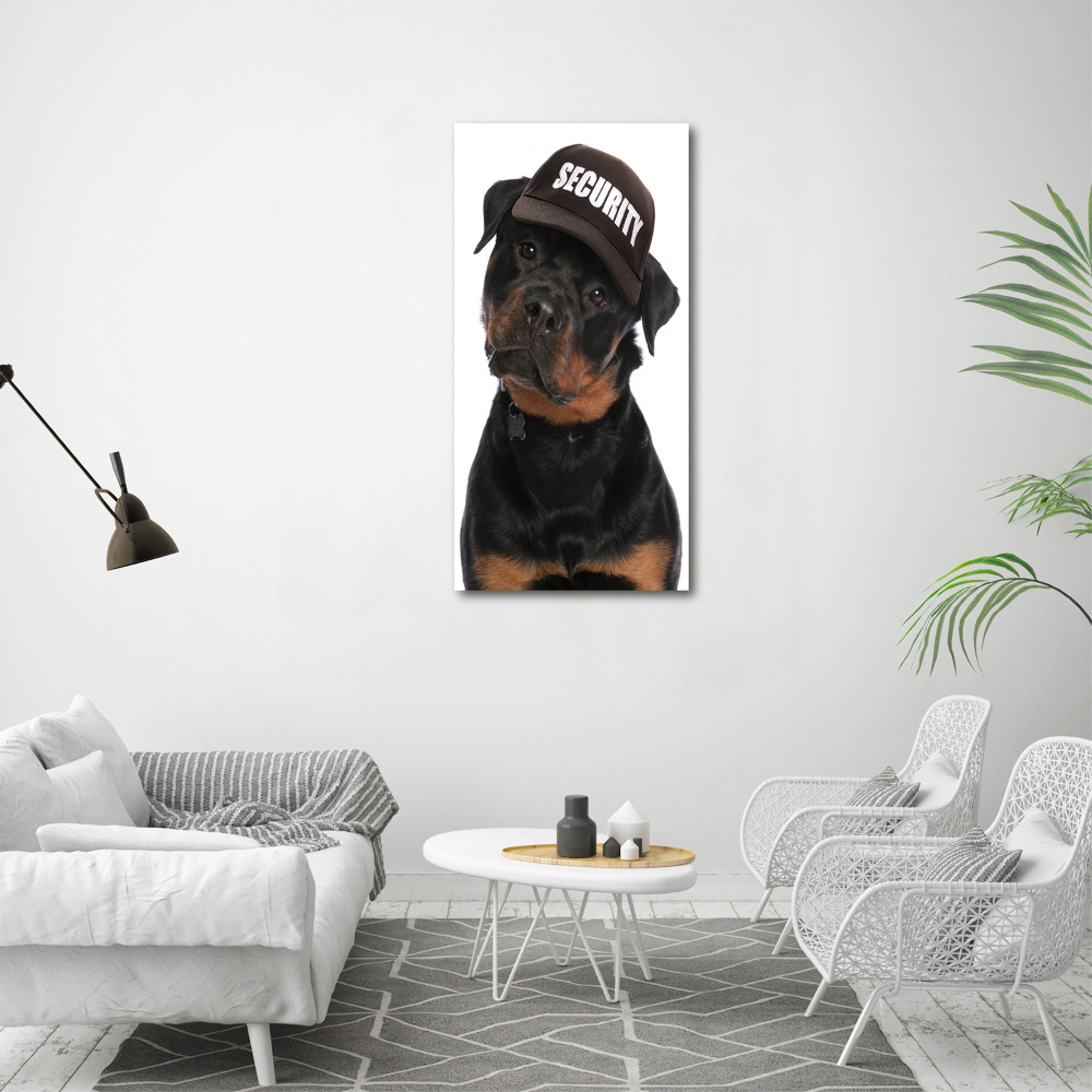 Print on acrylic Rottweiler in the hat