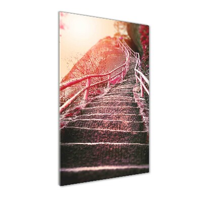 Print on acrylic Stairs in the mountains