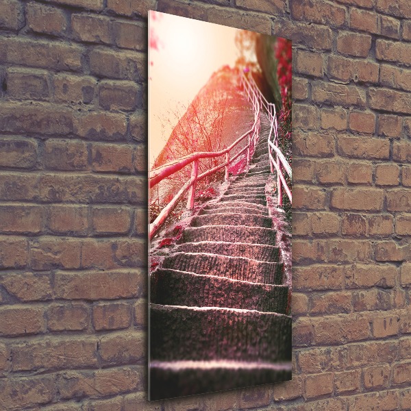 Print on acrylic Stairs in the mountains