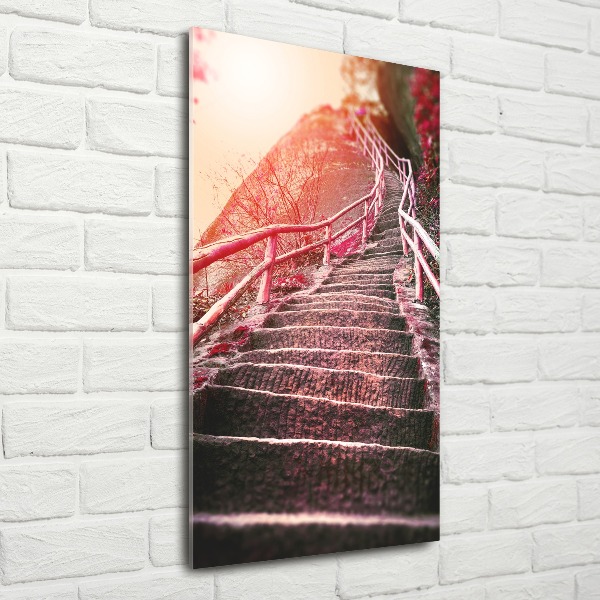 Print on acrylic Stairs in the mountains