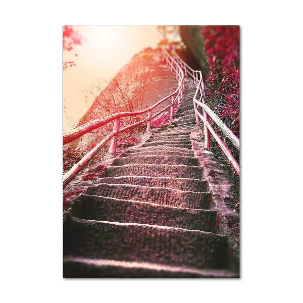 Print on acrylic Stairs in the mountains