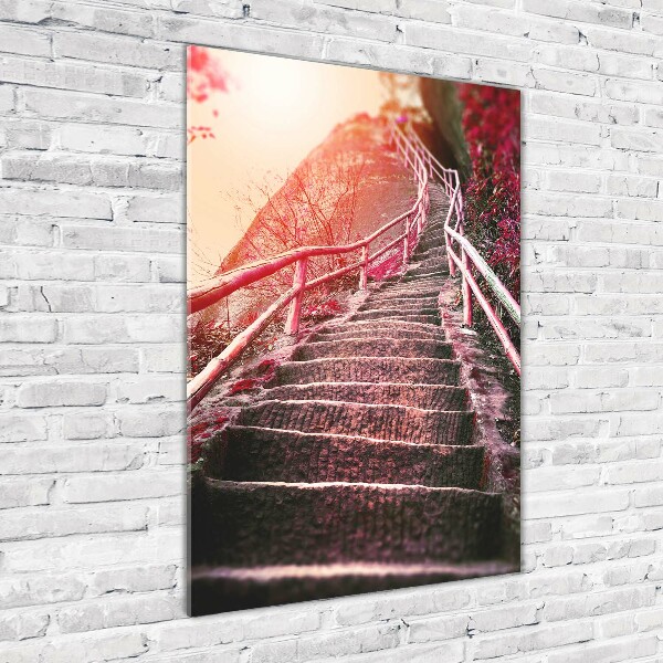 Print on acrylic Stairs in the mountains