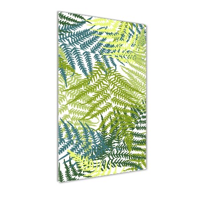 Print on acrylic Fern leaves